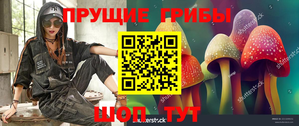 Галлюциногенные грибы прущие грибы Прокопьевск
