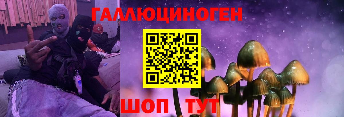 Прокопьевск  Псилоцибиновые грибы Psilocybe  Вход с VPN 